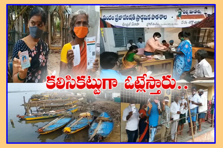 fishermans participate Panchayat election voting