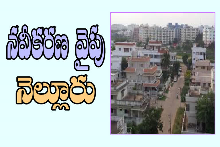 nellore city