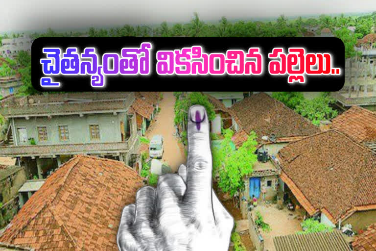 Panchayat Elections