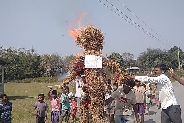 চাউতাল ভাষাক স্বীকৃতি নিদিয়াত ঝাৰখণ্ডৰ মুখ‍্যমন্ত্ৰীৰ পুত্তলিকা দাহ