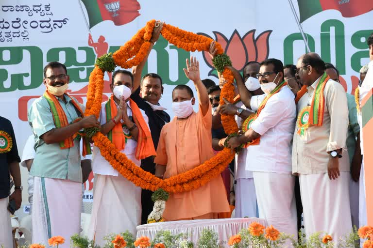 Yogi