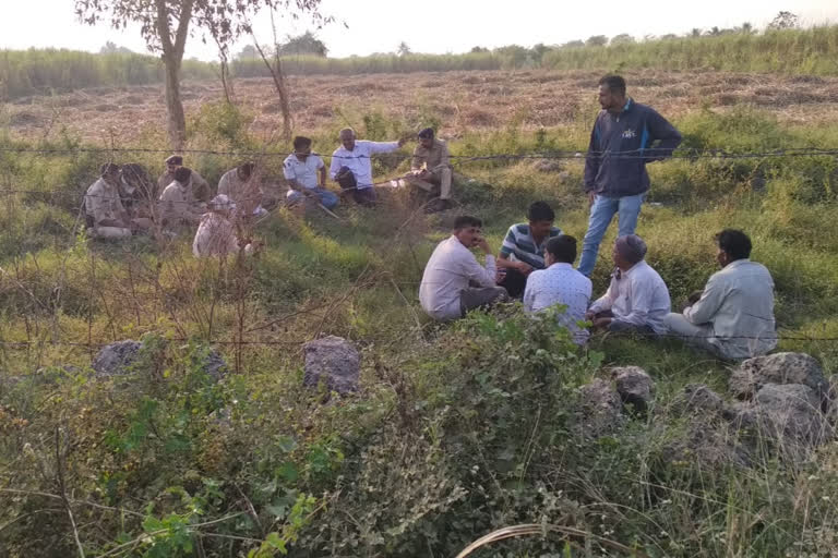 বাঘটোক ধৰিবলৈ ইতিমধ্যে অঞ্চলটোত জাল পেলোৱা হৈছে