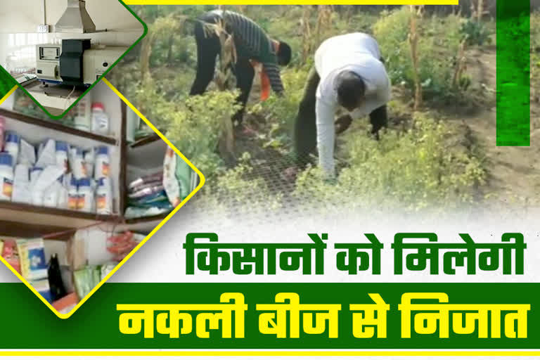 सीकर