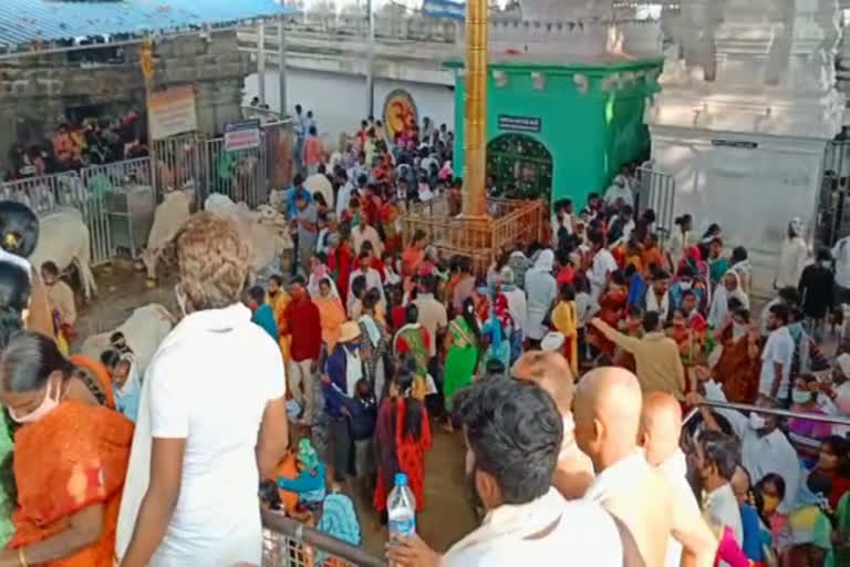 Devotees flocked to the Vemulawada Sri Rajarajeswara swamy Temple on Monday