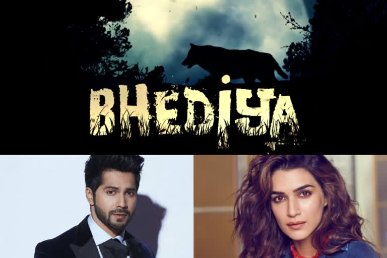 Kriti Sanon Varun Dhawan starrer Bhediya to release on 2022 April 14  വരുണ്‍-കൃതി സനോണ്‍ ഹൊറര്‍ കോമഡി 'ബേദിയ'  വരുണ്‍-കൃതി സനോണ്‍  അമര്‍ കൗശിക് സിനിമകള്‍  അമര്‍-കൗശിക് വാര്‍ത്തകള്‍  Kriti Sanon Varun Dhawan starrer Bhediya  Kriti Sanon Varun Dhawan starrer Bhediya news