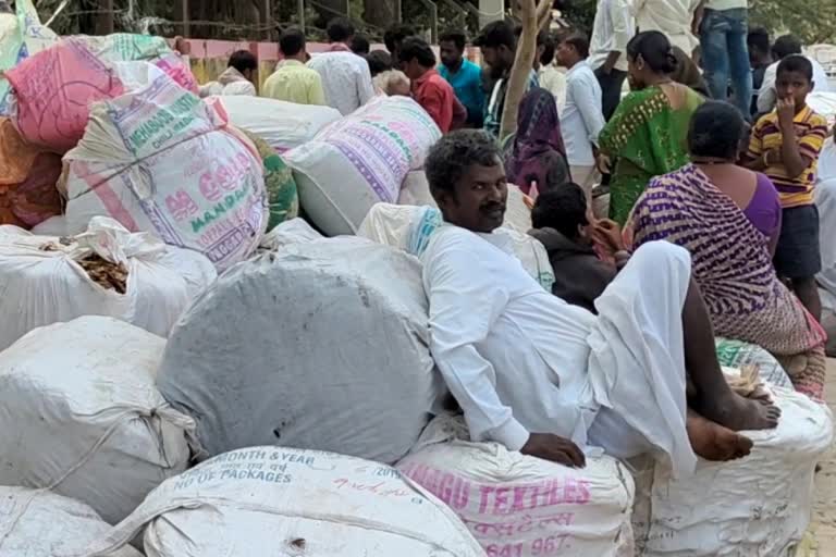 Fall of tamarind prices in market