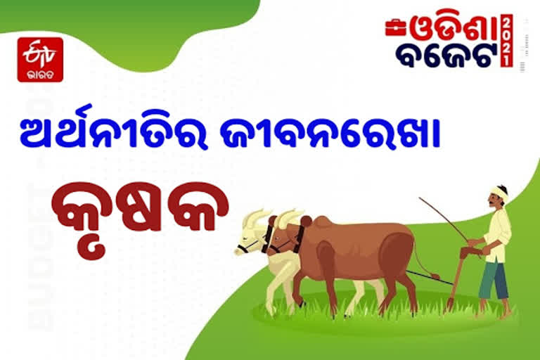 କୃଷିକୁ ବୁଷ୍ଟର, 17 ହଜାର 468 କୋଟି ଆବଣ୍ଟନ