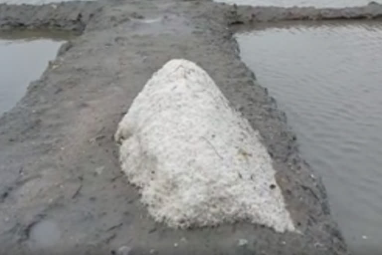 vilupuram-salt-manufacturers-suffered-for-havey-rain