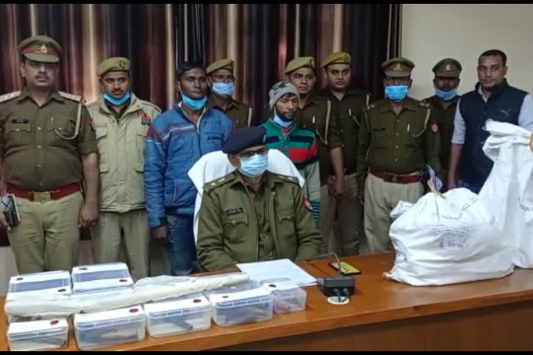 two arrested with illegal weapons in amroha