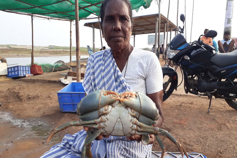ମତ୍ସ୍ୟଜୀବୀଙ୍କ