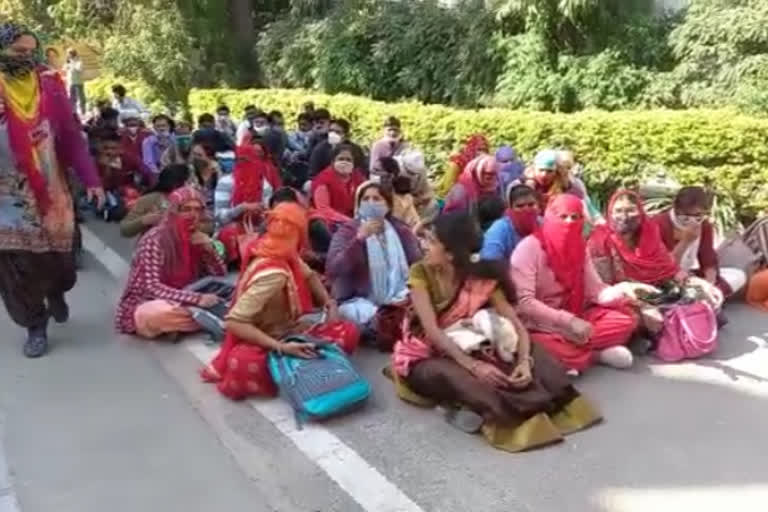 NTT candidates staged, एनटीटी अभ्यर्थियों ने दिया धरना