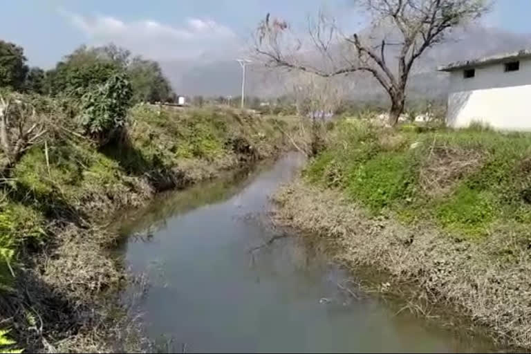 bad condition of irrigation canals in paonta sahib