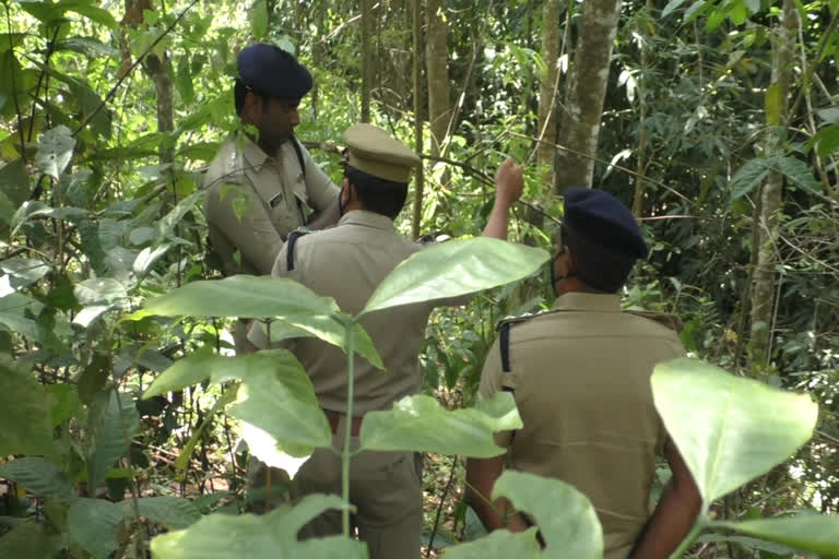 പള്ളിവാസലിലെ പെൺകുട്ടിയുടെ മരണം; പ്രതിയ്‌ക്കായി അന്വേഷണം ഊർജിതമാക്കി  പള്ളിവാസലിലെ പെൺകുട്ടിയുടെ മരണം  പള്ളിവാസൽ  പള്ളിവാസൽ കൊലപാതകം  plus two student stabbed death in pallivasal; investigation intensified for the accused  plus two student stabbed death in pallivasal  plus two student death  pallivasal  pallivasal death  idukki  ഇടുക്കി