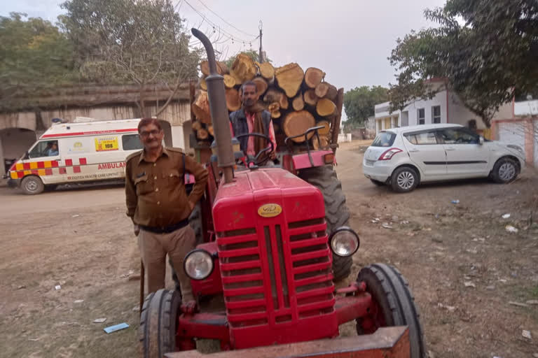 Two tractor filled with illegal wood seized