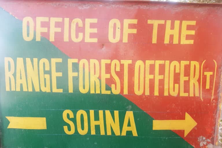 gurugram sohna Forest department