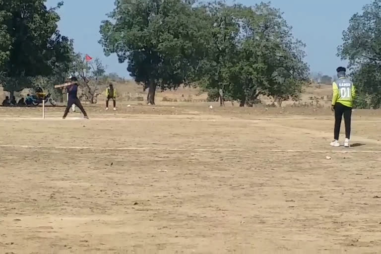 Tiger Cup Cricket Tournament