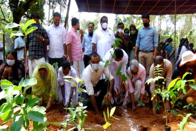 miyawaki at vandoor block pachayath  രണ്ടര സെൻ്റ് ഭൂമിയിൽ മിയാവാക്കി ഒരുക്കി വണ്ടൂർ ബ്ലോക്ക് പഞ്ചായത്ത്  miyawaki  മലപ്പുറം  മലപ്പുറം വാർത്തകൾ  malappuram news  miyawaki news  രണ്ടര സെൻ്റ് ഭൂമിയിൽ മിയാവാക്കി ഒരുക്കി വണ്ടൂർ ബ്ലോക്ക് പഞ്ചായത്ത്