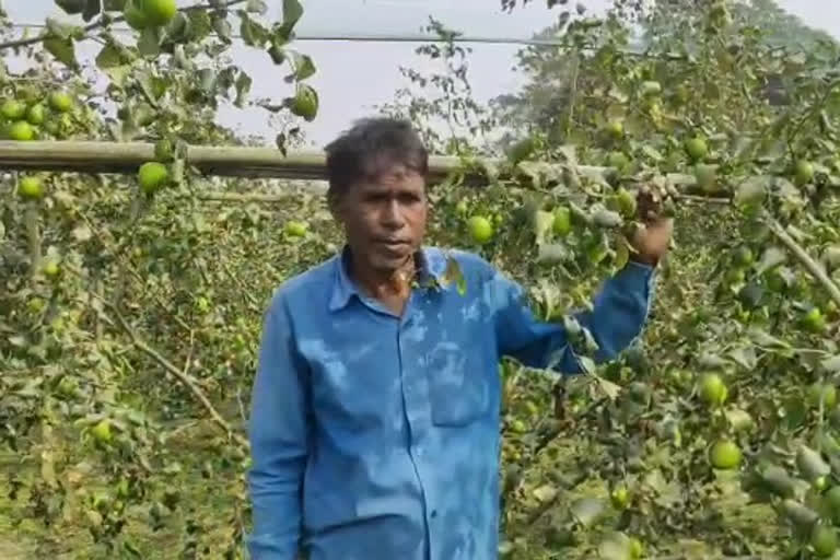 dhubri man sets example of self reliance through farming