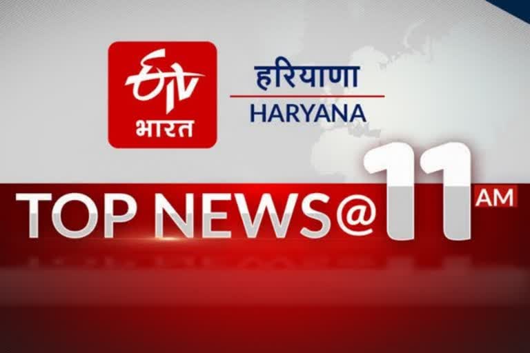 HARYANA TOP TEN NEWS 24 FEBRUARY 11 AM