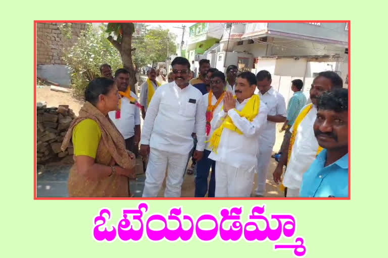 మున్సిపల్ ఎన్నికలు: రాయదుర్గంలో మాజీ మంత్రి కాల్వ శ్రీనివాసులు ప్రచారం