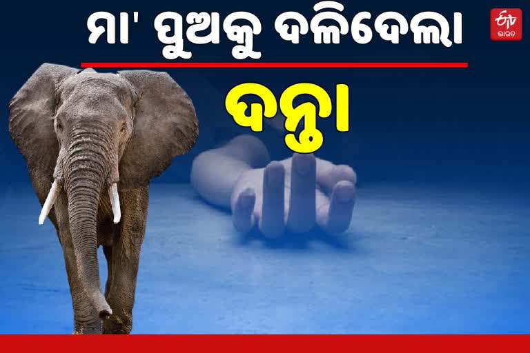 ହାତୀ ଆକ୍ରମଣରେ ମା' ପୁଅ ମୃତ