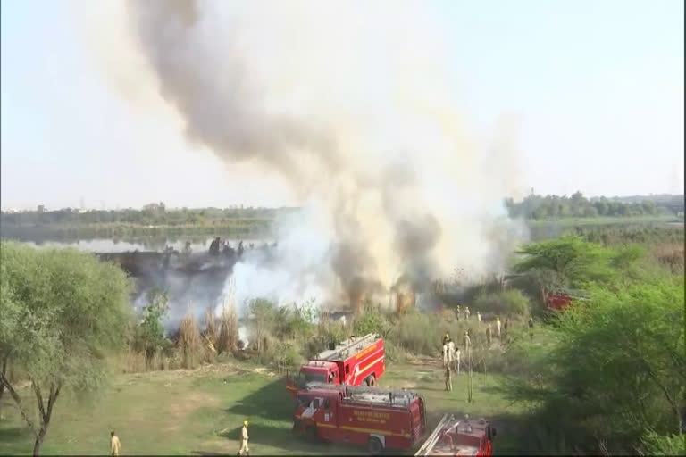 fire-in-bushes-near-indira-gandhi-indoor-stadium-delhi