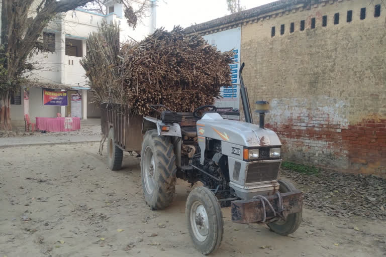 सड़क पार करते समय बुजुर्ग महिला की टैक्टर-ट्राली के नीचे दबकर मौत