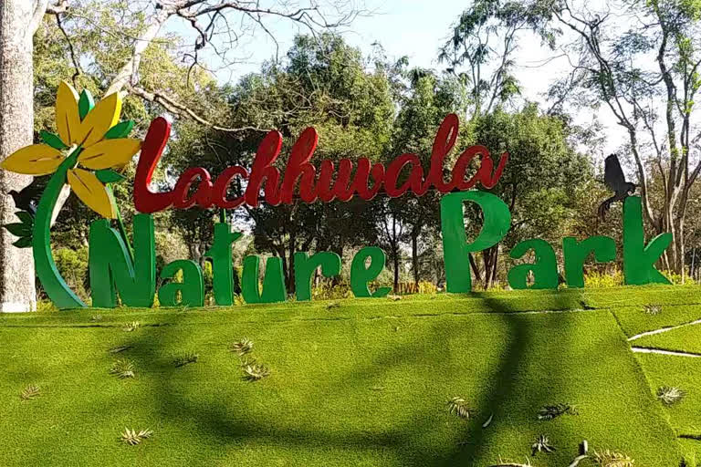 Lachhiwala Nature Park
