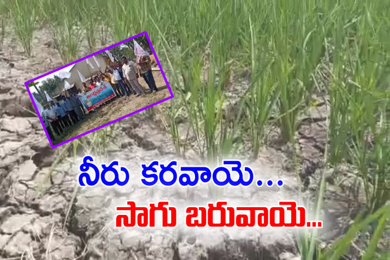 farmers protest at mummidivaram in east godavari district