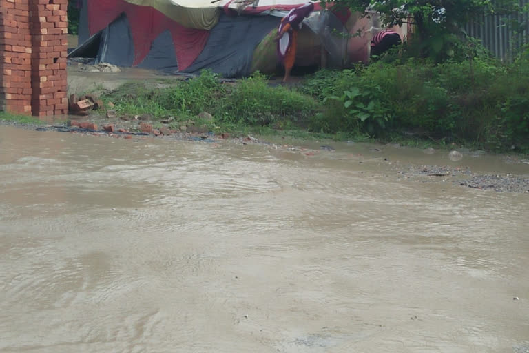 Debris that came with water