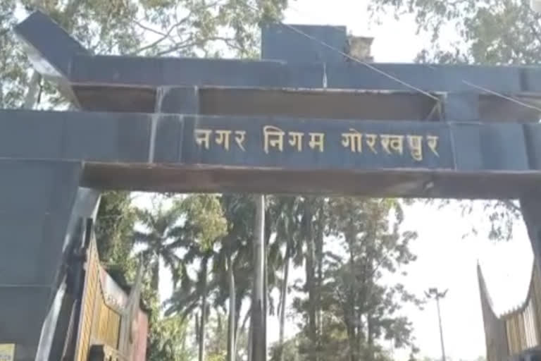 जन्म प्रमाण पत्र में घोटाला