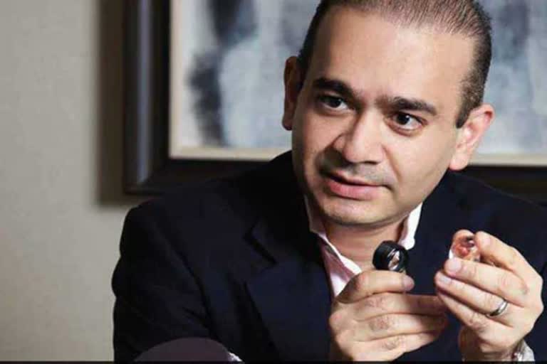 Nirav Modi