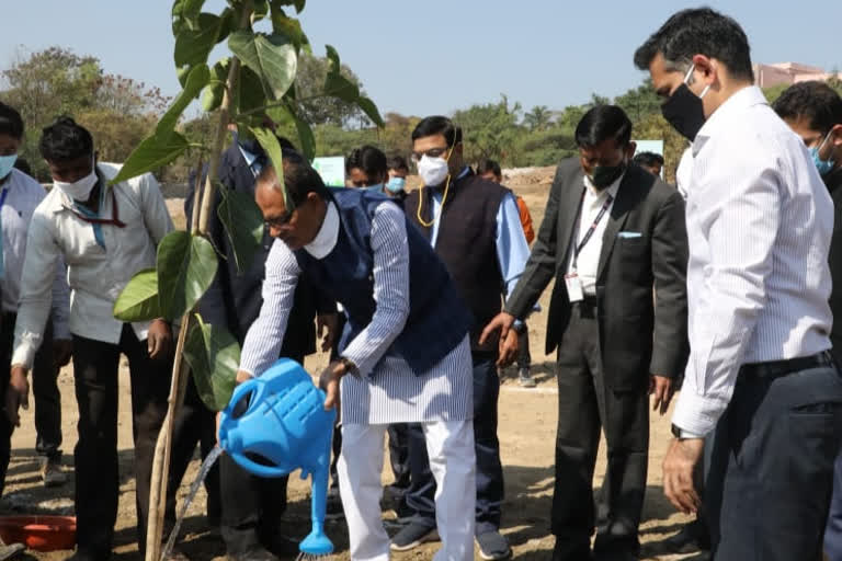 CM Shivraj did plantation