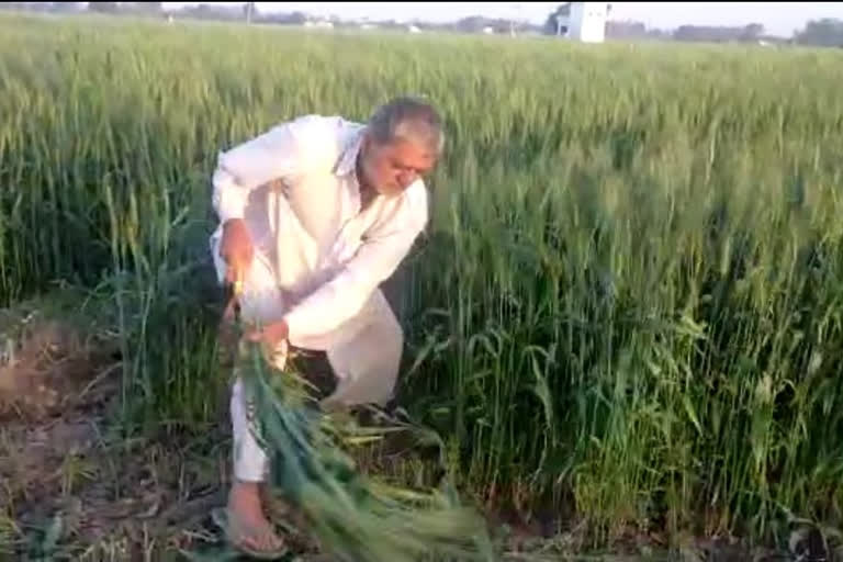 कृषि कानूनों का विरोध सोनीपत खरखौदा