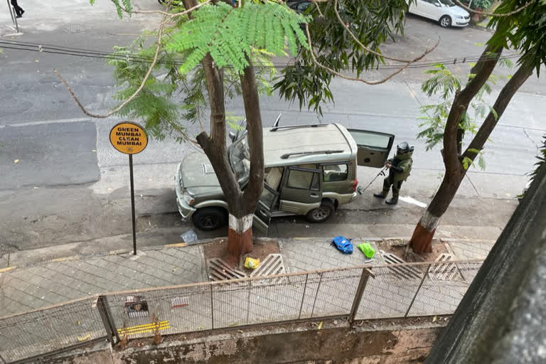 Gelatin sticks found near Antilia