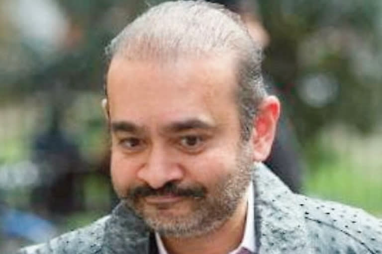 Nirav Modi