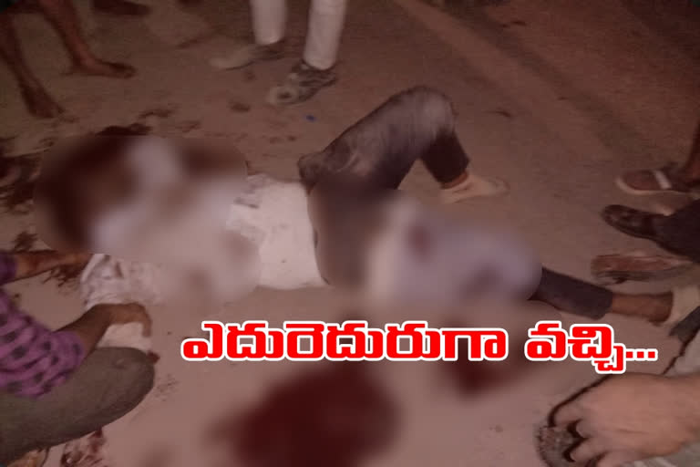 one person serious injured  road accident at mellacheruvu mandal at chowtapalli  village in suryapet district