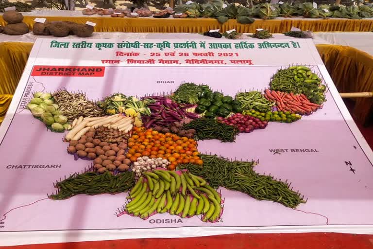 special package to palamu in agriculture