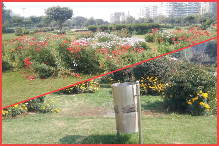 Park is maintained through Dwarka Senior Citizens Club in Sector 11