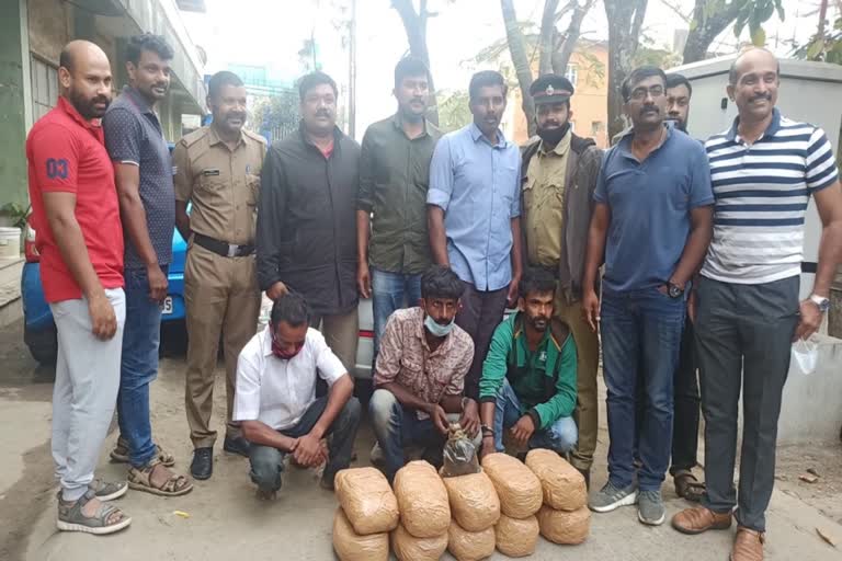 ഹാഷിഷ് ഓയിലും കഞ്ചാവും പിടികൂടി  ഇടുക്കി  ഇടുക്കി ക്രൈം ന്യൂസ്  ക്രൈം ന്യൂസ്  idukki crime news  crime news  crime latest news  hashish oil and cannabiz seized from idukki  cannabiz seized