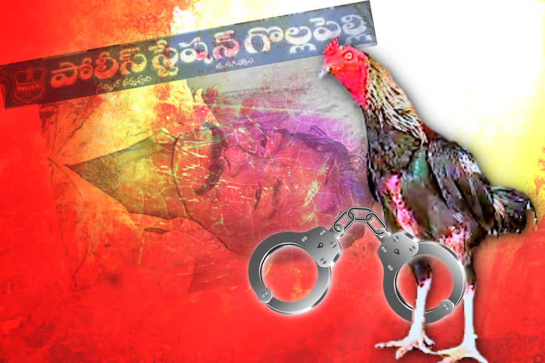 Police arrests hen for 'killing' a man  Hen killed a man  amn killed by hen  Murderer hen  യുവാവിനെ കൊന്ന കോഴി പൊലീസ് കസ്റ്റഡിയില്‍  കോഴി പൊലീസ് കസ്റ്റഡിയില്‍  കോഴിപ്പോര്‌  Telangana