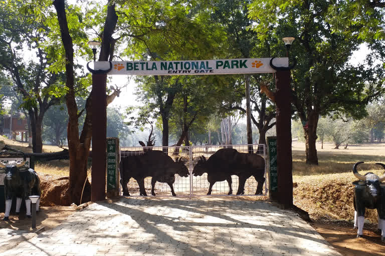 betla national park and many tourist places will open from 1 march in palamu