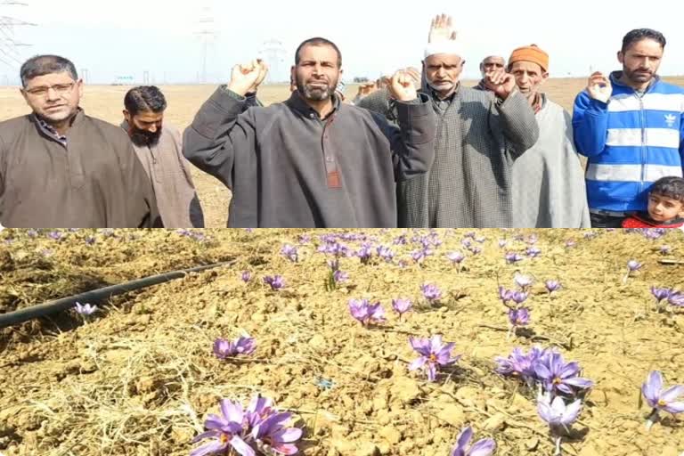 patal bagh pampore farmers protest against dumping site project on zaffron land