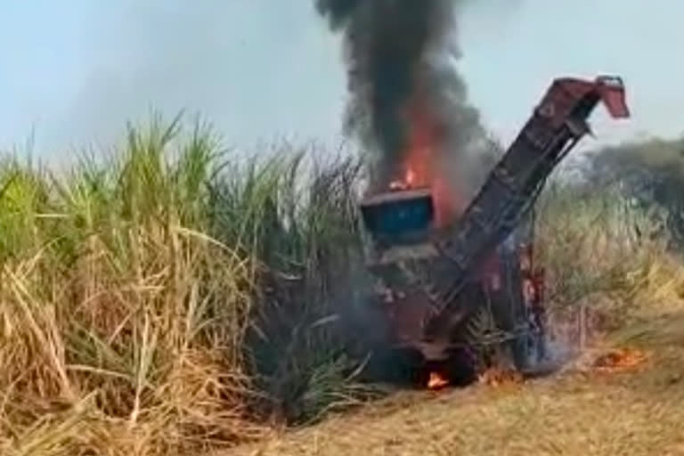 Burnt one acre of sugarcane by burning the cane harvester