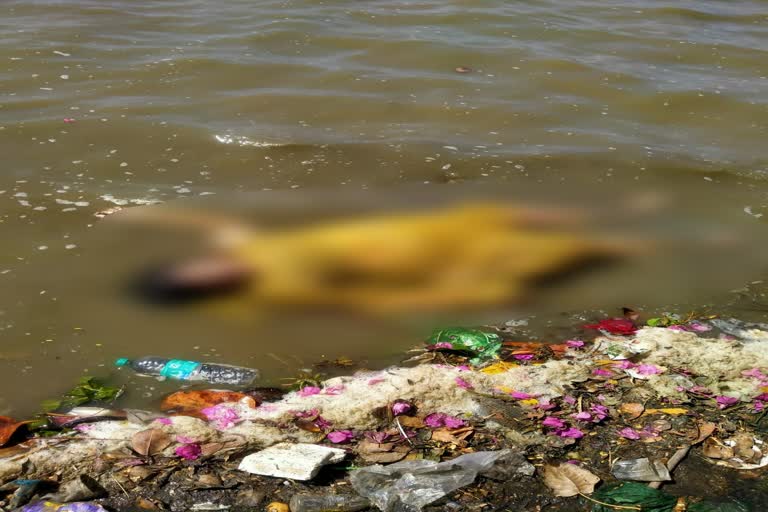 तालाब में तैरता मिला महिला का शव, Body of woman found floating in pond