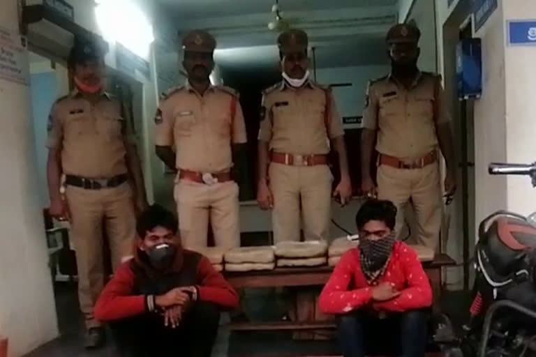 20 kg of cannabis seized Two arrested in Bhadradri Kottagudem District