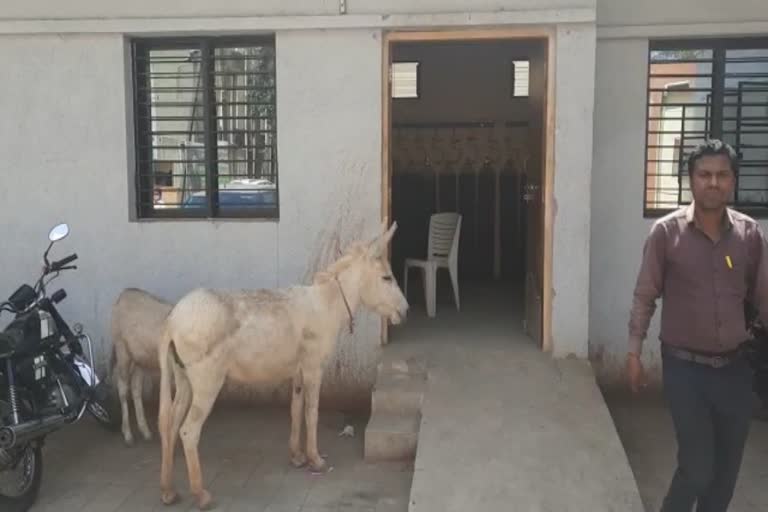 unclean state Chandrapur Medical College