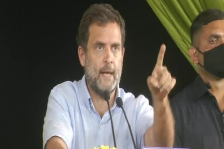 Rahul Gandhi slams Centre  Tamil Nadu election  Rahul attacks Palaniswamy  കേന്ദ്രത്തിനെതിരെ ആരോപണവുമായി രാഹുൽ ഗാന്ധി  രാഹുൽ ഗാന്ധി  എടപ്പാടി കെ. പളനിസ്വാമി  തമിഴ്‌നാട്  തമിഴ്‌നാട് തെരഞ്ഞെടുപ്പ്  Rahul Gandhi  Edappadi K Palaniswami