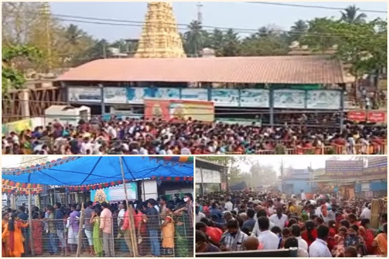 most of people pilgrims went to vadapalli venkateswara swamy temple