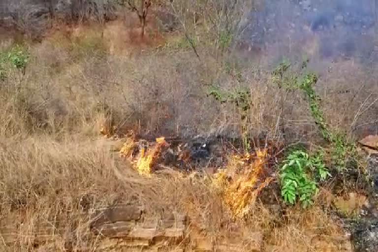 ನೂರಾರು ಎಕರೆ ಅರಣ್ಯ ಪ್ರದೇಶ ಬೆಂಕಿಗಾಹುತಿ